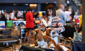 Sajam kućnih ljubimaca Tuzla 2027